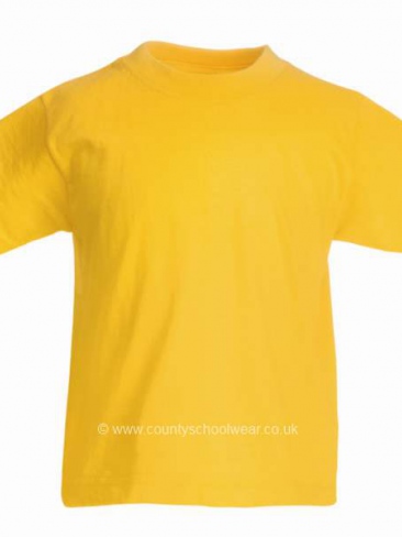 Gig Mill PE T-shirt House Colours