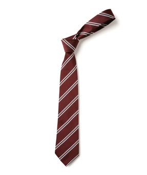 Colour & Size Variations Clip On Double Stripe School Ties 