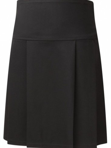 School Girls Skirt | Junior Eco Pleated Skirt | Drop Waist | County ...