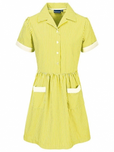 Summer Dress | Striped School Poly Cotton Dress | County Sports and ...