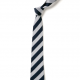 Bromley Pensnett Primary School Tie 