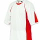 Sports Team Training T-shirt 100% Polyester with contrast mesh side panel