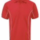 School games polo shirt 100% polyester with contrast colour piping