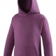 School sports or college hooded top in classic sweatshirt fabric