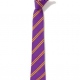 School or club tie, double stripe, 100% polyester, purple and gold
