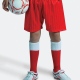 Shadow stripe shorts football style available in most school colours for PE