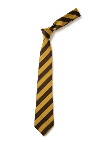  Brown & Gold Broad Stripe Tie (Box of 24)