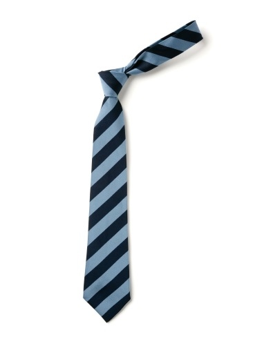 Navy & Saxe Broad Stripe Tie (Box of 24)