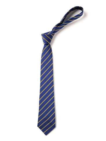 Royal Blue With Gold Thin Stripe Tie (Box of 24)