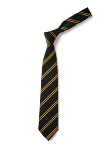 School Uniform, House, Club Ties Double Stripe