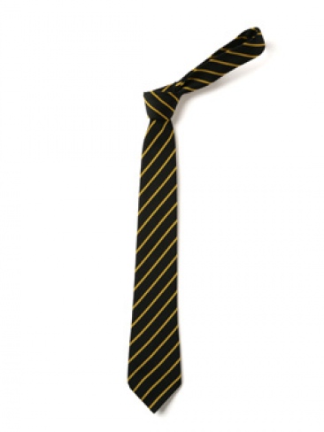 School Uniform, House or Club Ties Thin Stripe
