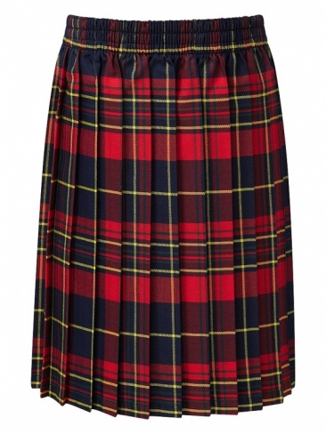 Junior School Pull On Tartan Pleat Skirt 