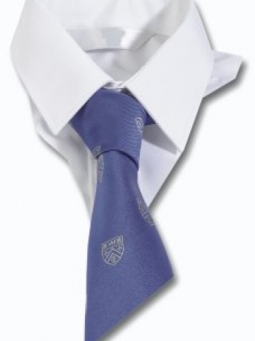 School Uniform, House, Club Ties Custom Design